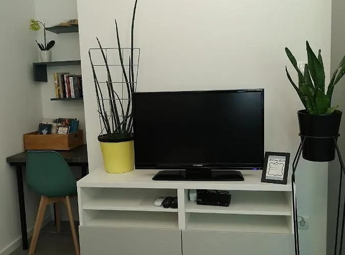 Apartament Frgacic I *