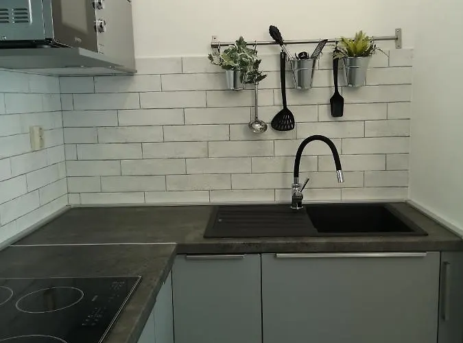 Apartament Frgacic I *